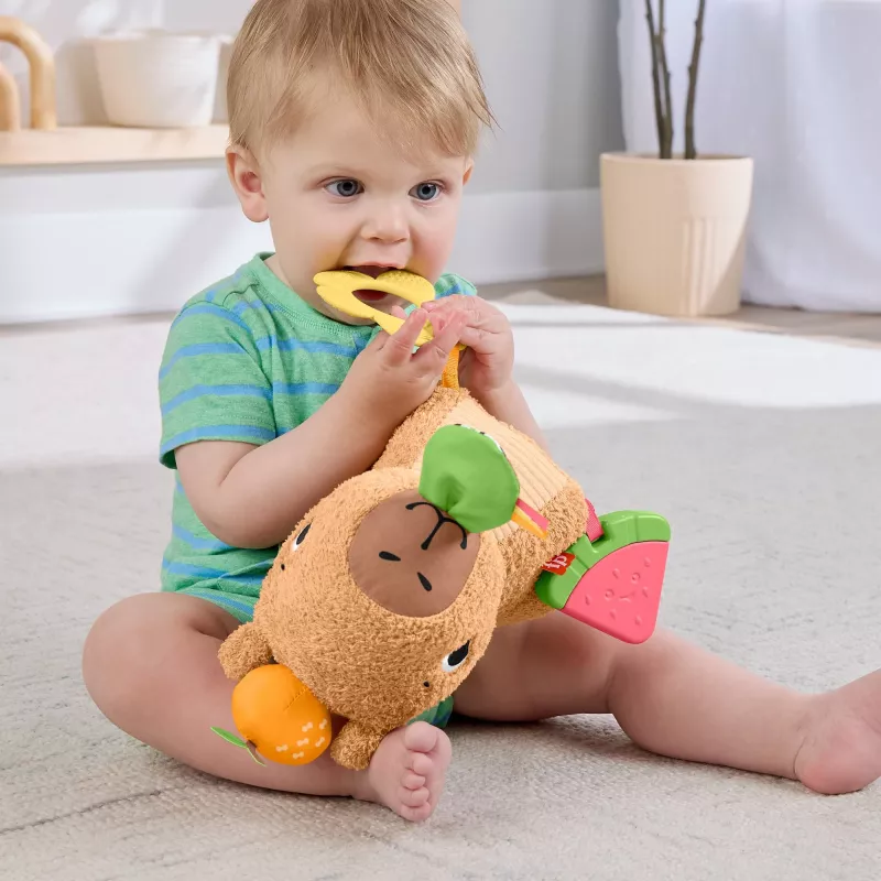 Leluvesisika Fisher-Price Snuggly Snacky Capy 0,5 vuotta