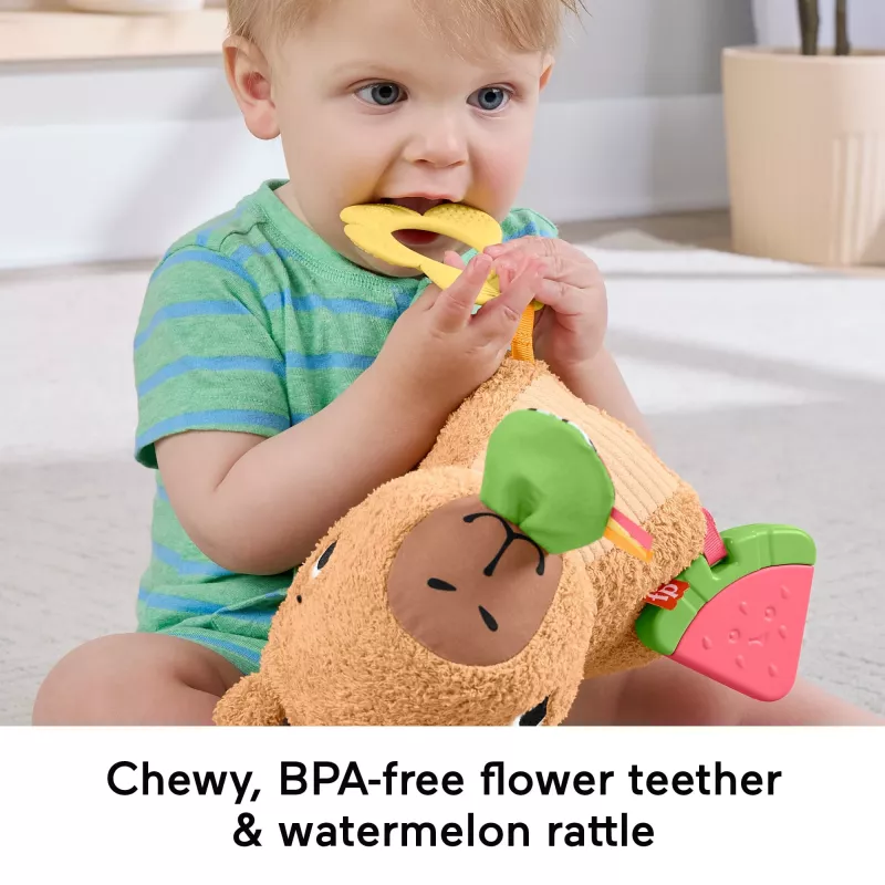 Leluvesisika Fisher-Price Snuggly Snacky Capy 0,5 vuotta