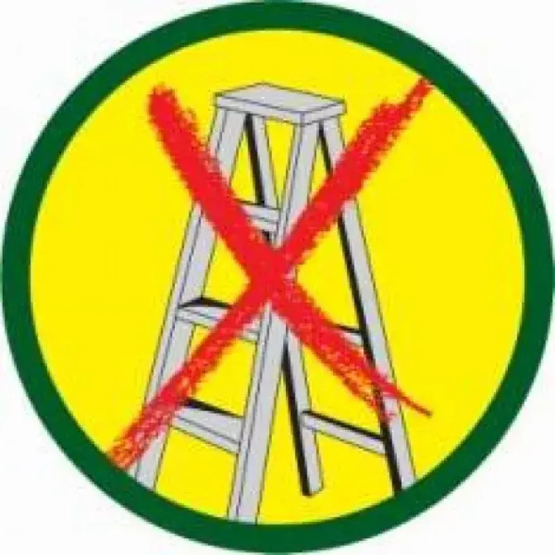 Oksasakset WOLF-Garten RR-VM
