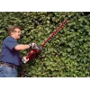 Einhell GC-EH 6055/1 -pensasleikkuri