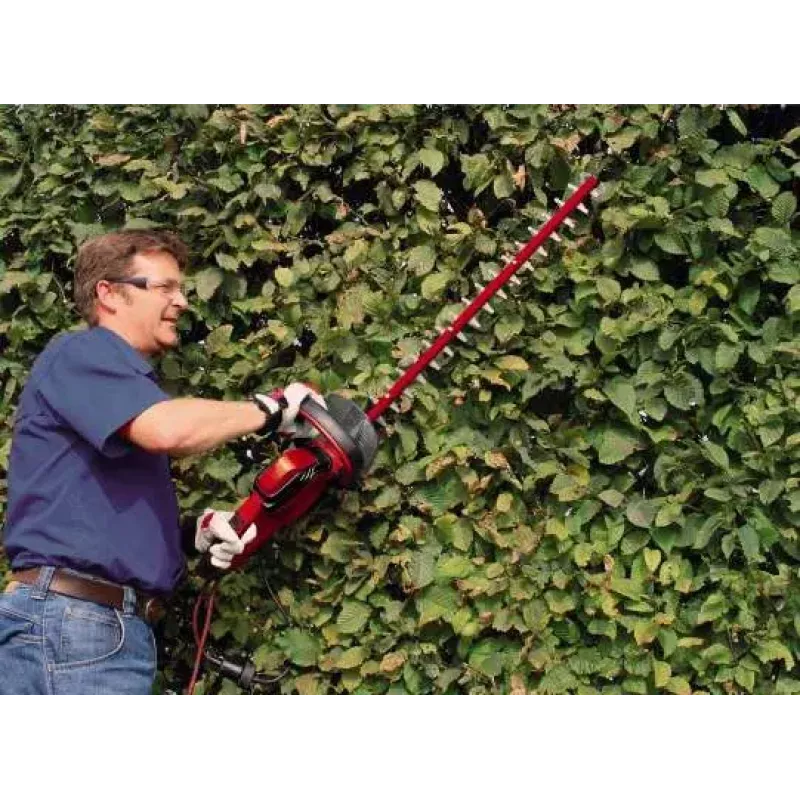 Einhell GC-EH 6055/1 -pensasleikkuri