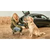 Bosch Fontus 18V painepesuri pysty akku