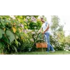 Bosch EasyGrassCut 23 23 cm 280 W AC musta, vihreä