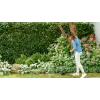 Bosch EasyGrassCut 23 23 cm 280 W AC musta, vihreä