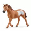 schleich Cowgirl Team Roping Fun, 3 vuosi/vuotta, monivärinen