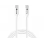 Sandberg USB-C USB-C 65W 1M SAVER, 1 m, USB-C, USB-C, USB 2.0, valkoinen