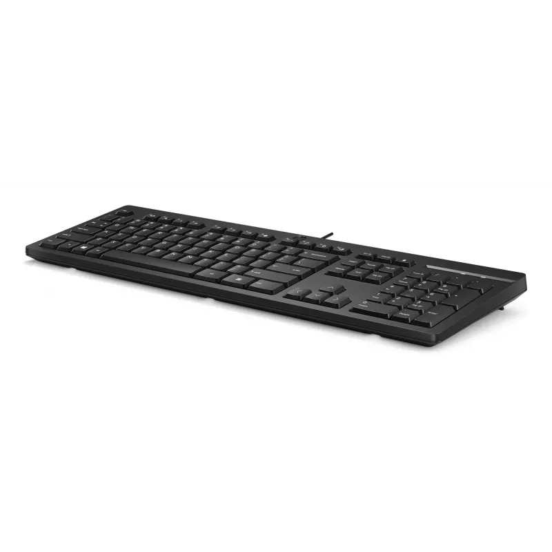 Näppäimistö HP 125 USB WD KBD Bulk 12 Full-size Wired QWERTY