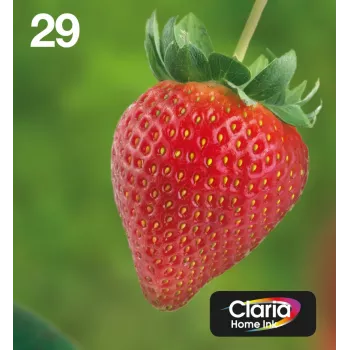 Epson Strawberry monipakkaus 4 väriä 29 EasyMail, standardiriitto, musta, syaani, magenta, keltainen, 5,3 ml, 3,2 ml, 1 kpl, monipakkaus