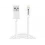 Sandberg USB-A - Lightning MFI 1M, 1 m, Lightning, USB-A, valkoinen, suora, suora