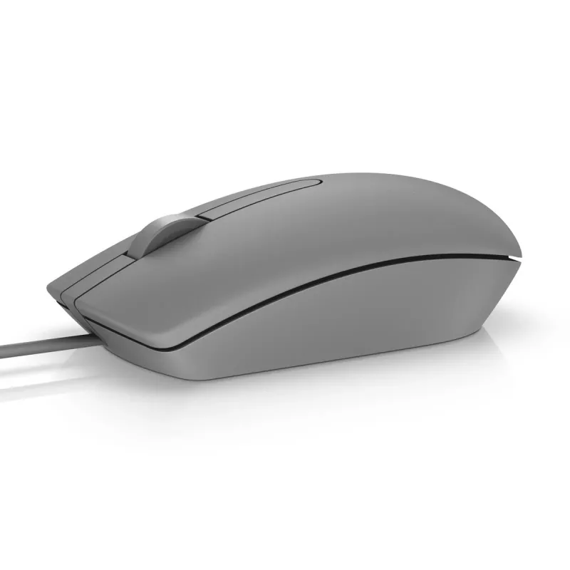 Hiiri DELL MS116 USB Type-A molempikätinen