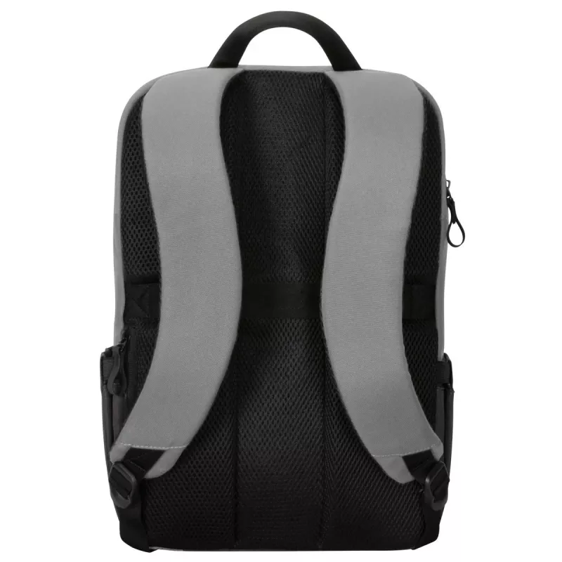 Targus Sagano 39,6 cm (15,6
