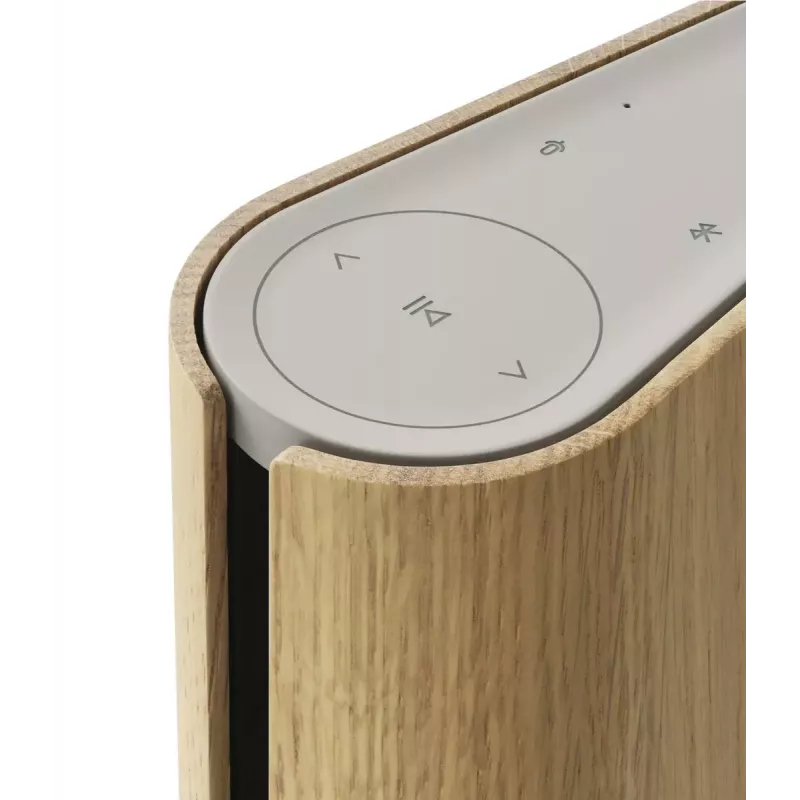 Kannettava kaiutin Bang & Olufsen Beosound Emerge ruskea