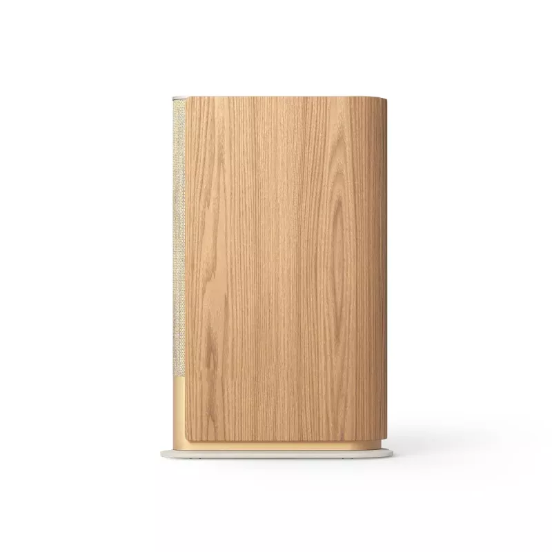 Kannettava kaiutin Bang & Olufsen Beosound Emerge ruskea