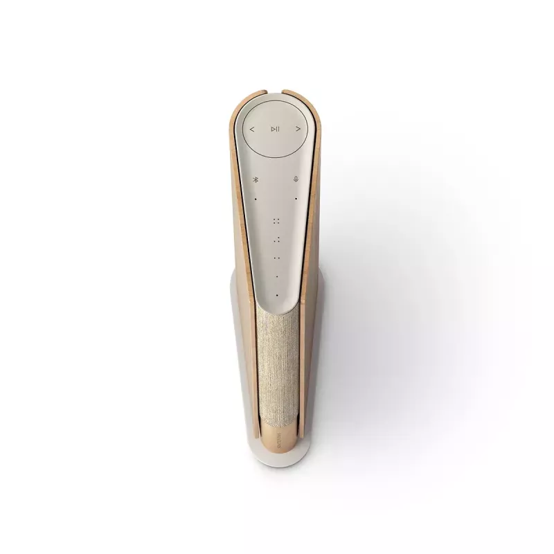 Kannettava kaiutin Bang & Olufsen Beosound Emerge ruskea