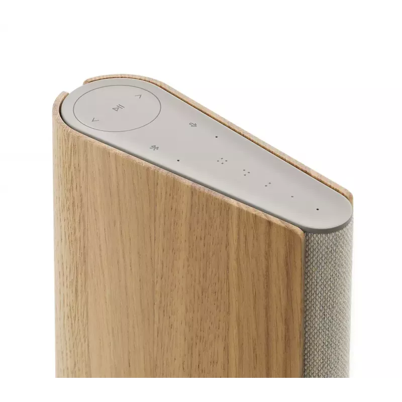 Kannettava kaiutin Bang & Olufsen Beosound Emerge ruskea