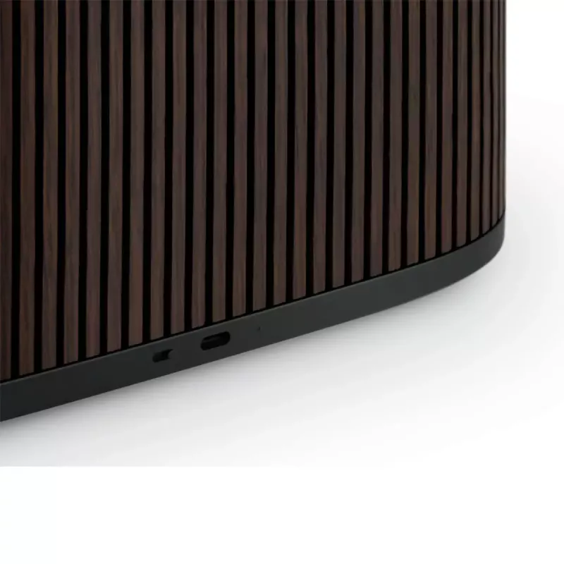 2.1 kannettava kaiutinjärjestelmä Bang & Olufsen BeoSound A5 ruskea 101 dB