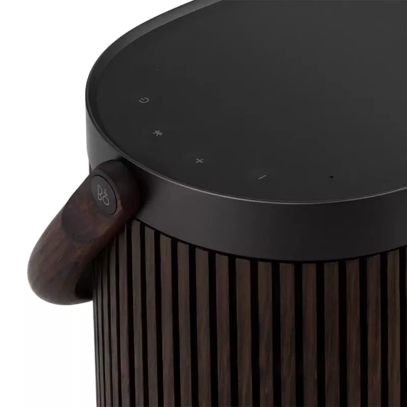 2.1 kannettava kaiutinjärjestelmä Bang & Olufsen BeoSound A5 ruskea 101 dB