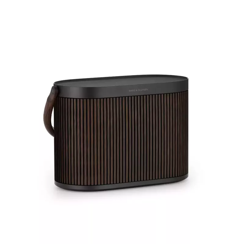 2.1 kannettava kaiutinjärjestelmä Bang & Olufsen BeoSound A5 ruskea 101 dB