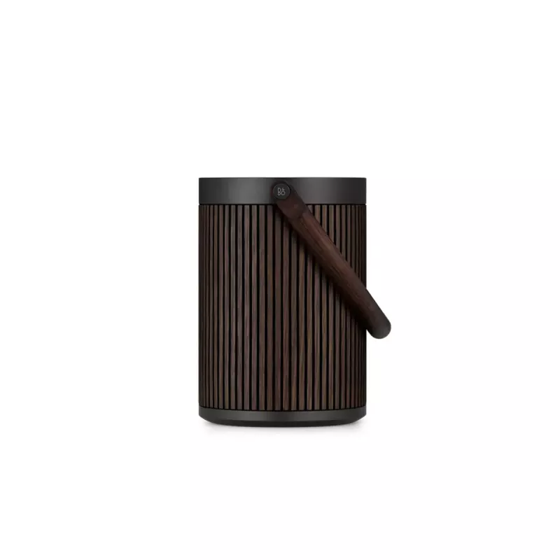 2.1 kannettava kaiutinjärjestelmä Bang & Olufsen BeoSound A5 ruskea 101 dB
