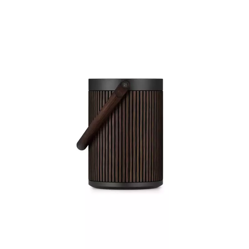 2.1 kannettava kaiutinjärjestelmä Bang & Olufsen BeoSound A5 ruskea 101 dB