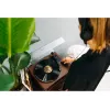 Hihnavetoinen audio-levysoitin Lenco LS-430BN ruskea manuaalinen 3-4 g neulapaino
