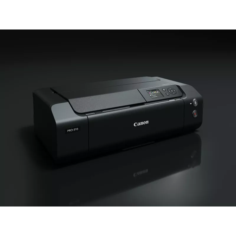 Canon imagePROGRAF PRO-310 mustesuihkutulostin väri 4800 x 2400 DPI A3+ WLAN