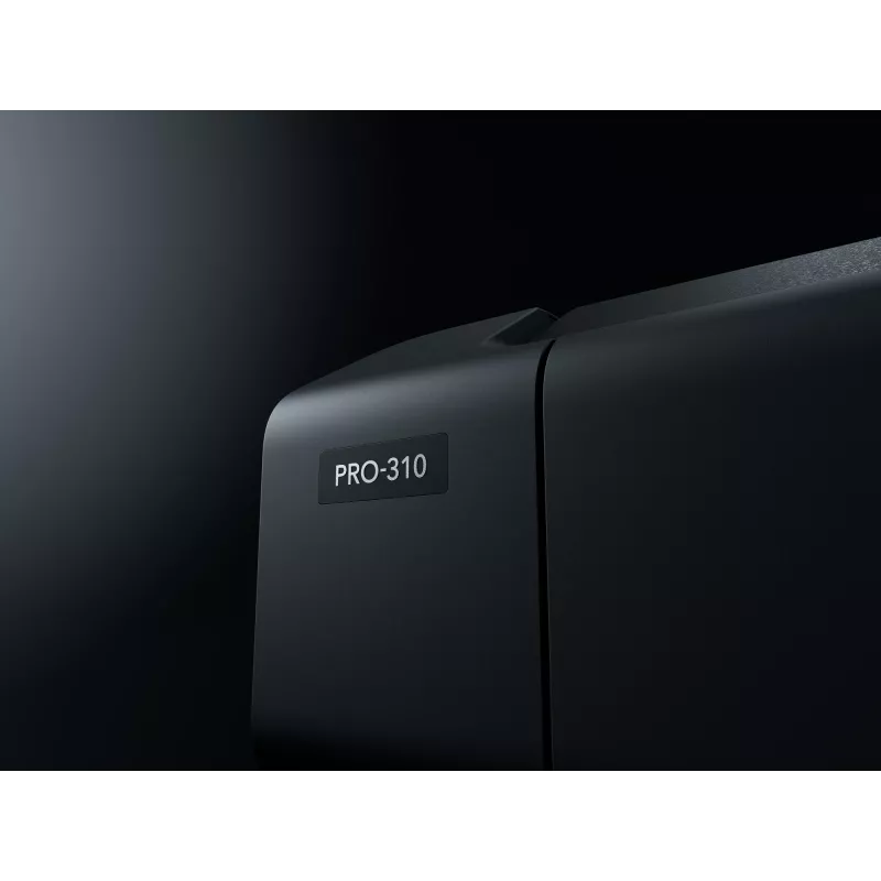 Canon imagePROGRAF PRO-310 mustesuihkutulostin väri 4800 x 2400 DPI A3+ WLAN