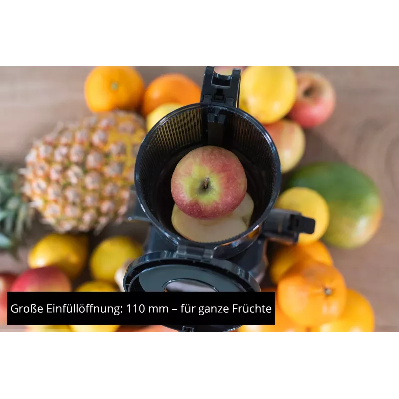 Unold 78275 SLOW JUICER Sam 300 W hiili