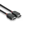 Lindy 0,5m DisplayPort 1.2 -kaapeli, Black Line