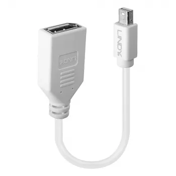 Lindy 0,20 m Mini DisplayPort - DisplayPort -sovitinkaapeli, 0,15 m, Mini DisplayPort, DisplayPort, uros, naaras, valkoinen