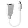 Lindy 0,20 m Mini DisplayPort - DisplayPort -sovitinkaapeli, 0,15 m, Mini DisplayPort, DisplayPort, uros, naaras, valkoinen