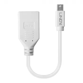 Lindy 0,20 m Mini DisplayPort - DisplayPort -sovitinkaapeli, 0,15 m, Mini DisplayPort, DisplayPort, uros, naaras, valkoinen