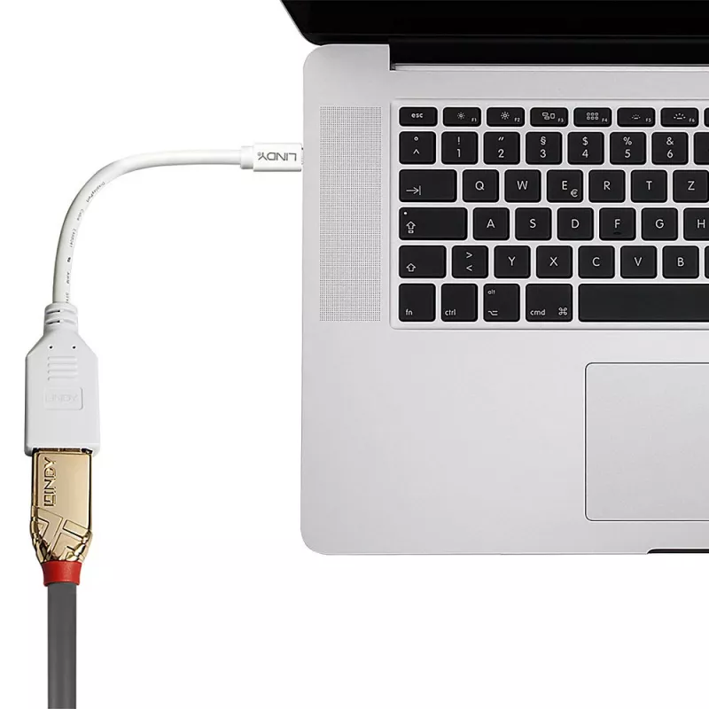 Lindy 0,20 m Mini DisplayPort - DisplayPort -sovitinkaapeli, 0,15 m, Mini DisplayPort, DisplayPort, uros, naaras, valkoinen