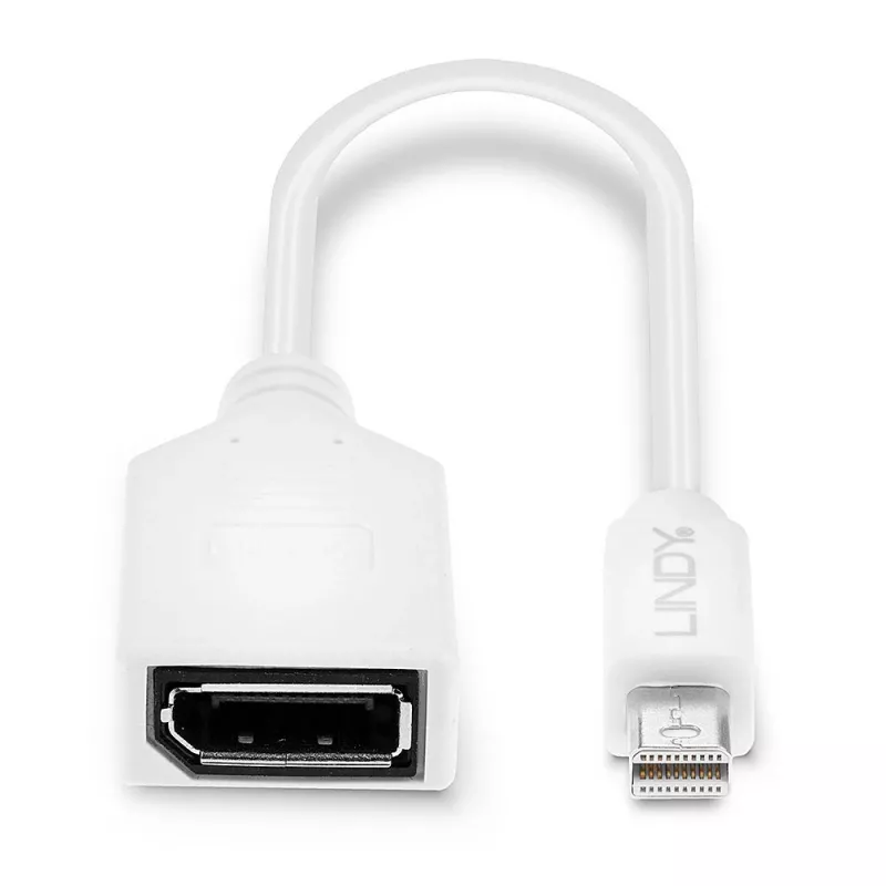 Lindy 0,20 m Mini DisplayPort - DisplayPort -sovitinkaapeli, 0,15 m, Mini DisplayPort, DisplayPort, uros, naaras, valkoinen