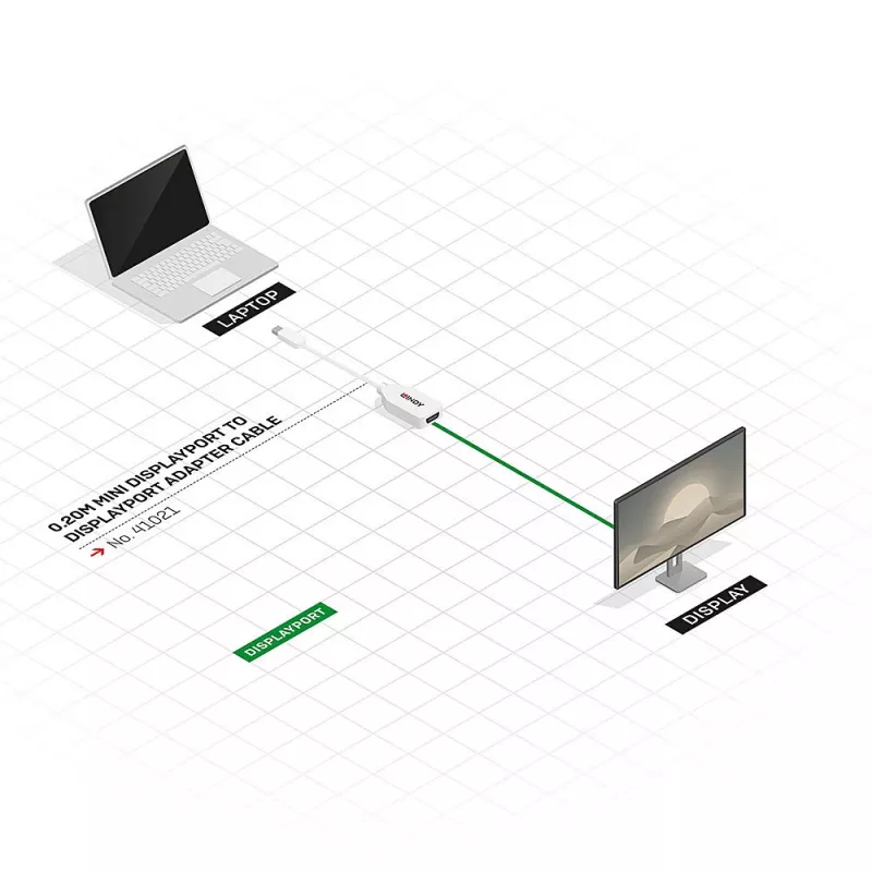 Lindy 0,20 m Mini DisplayPort - DisplayPort -sovitinkaapeli, 0,15 m, Mini DisplayPort, DisplayPort, uros, naaras, valkoinen
