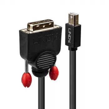 Lindy 3m Mini DisplayPort - DVI -kaapeli, musta