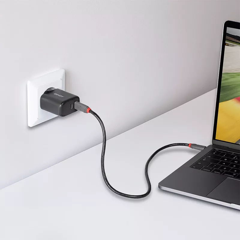 Lindy 65W USB 2 x Type-C GaN-laturi 73438