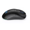 Hiiri ENDORFY GEM Plus Wireless RF langaton + USB Type-C