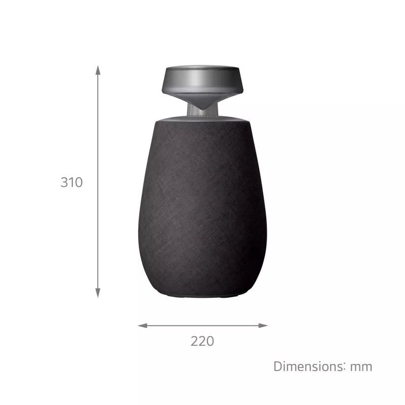LG XBOOM 360 Mono kannettava kaiutin musta 20 W
