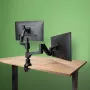 R-Go Tools monitoriteline R-Go Caparo Dual, kahdelle monitorille, korkeussäädettävä kaasujousella, 3-9 kg kantokyky, 100% kierrätettävä, musta