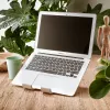 R-Go Tools kannettavan ja tabletin teline R-Go Treepod, ergonominen ja modulaarinen, säädettävä, biopohjainen