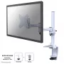 Neomounts FPMA-D1330WHITE monitorivarsi 25,4-76,2 cm (10-30