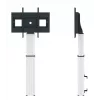 Neomounts PLASMA-W2500SILVER moottoroitu lattiateline / seinäkiinnike, 106,7–254 cm (42–100 tuumaa), maks. 150 kg, VESA 200x200–800x600, hopea