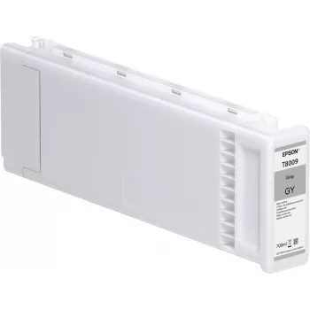 Epson yksittäispakkaus harmaa T800900 UltraChrome PRO 700 ml