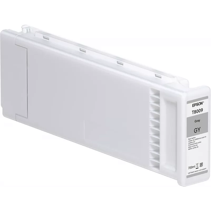 Epson yksittäispakkaus harmaa T800900 UltraChrome PRO 700 ml