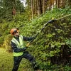 Teleskooppinen pensasleikkuri DeWALT DCMPH566N-XJ