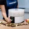Kuivuri Zelmer ZFD1010 520 W musta valkoinen muovi 30 cm