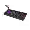 Mekaaninen Tenkeyless Gaming-näppäimistö GENESIS Thor 230 TKL — USB, RF langaton, Bluetooth, 87 näppäintä QWERTY, harmaa
