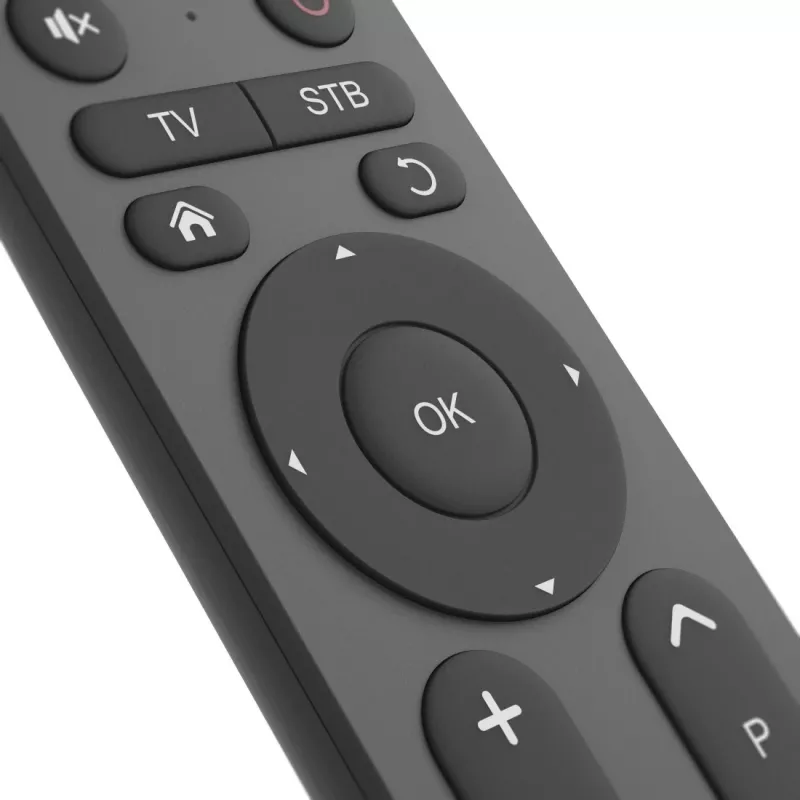 Hama 00221056 yleiskaukosäädin televisiolle 2in1, IR, isot painikkeet, opetettava, musta
