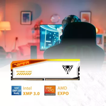 Patriot Viper Elite 5 RGB TUF Gaming Alliance DDR5 SDRAM 32GB pakkaus 3000MHz CL36 On-die ECC DIMM 288-PIN